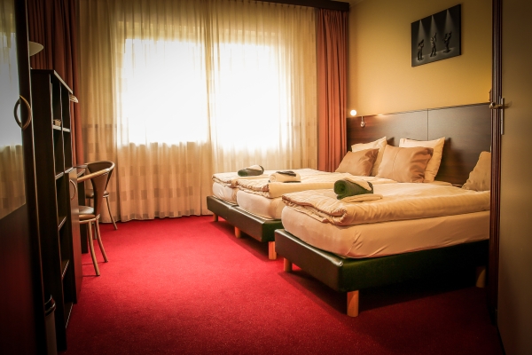Hotel Frans op den Bult (Dinkelland)
